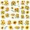 3 Sheets Sunflowers Rub on Transfers for Crafts and Furniture (Colorful) 0.1 x 2.36 x 0.1 inches